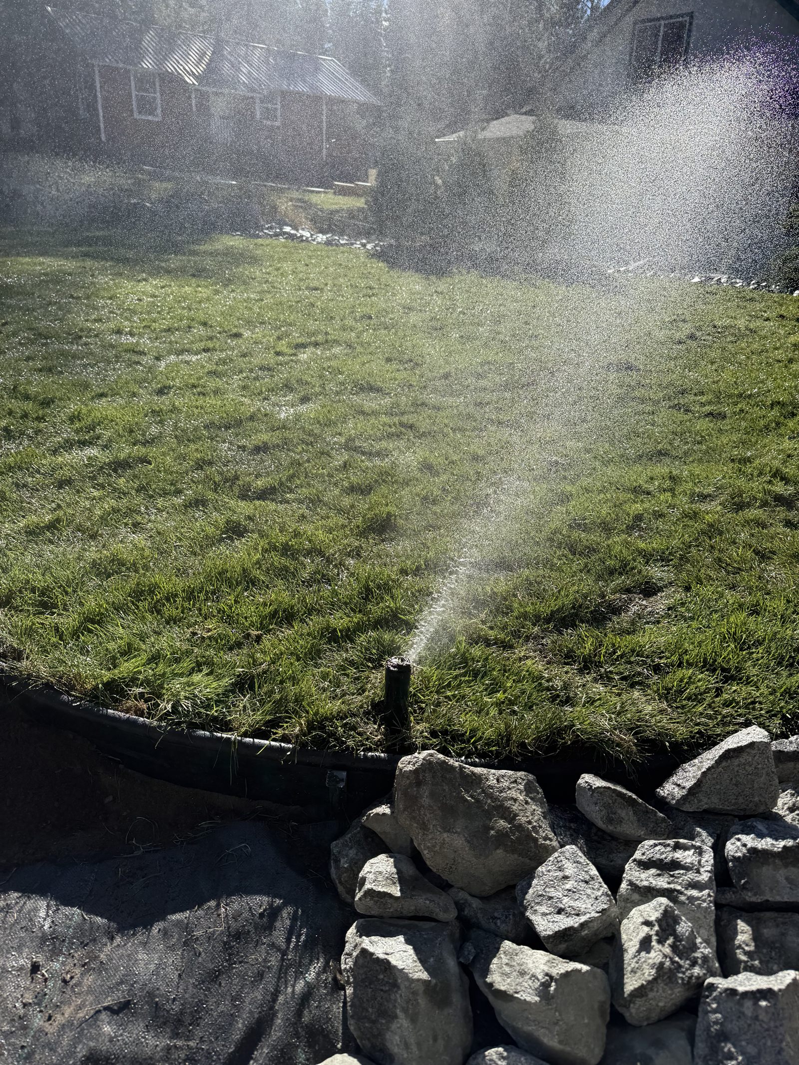 Sprinkler coverage that shows up immediately