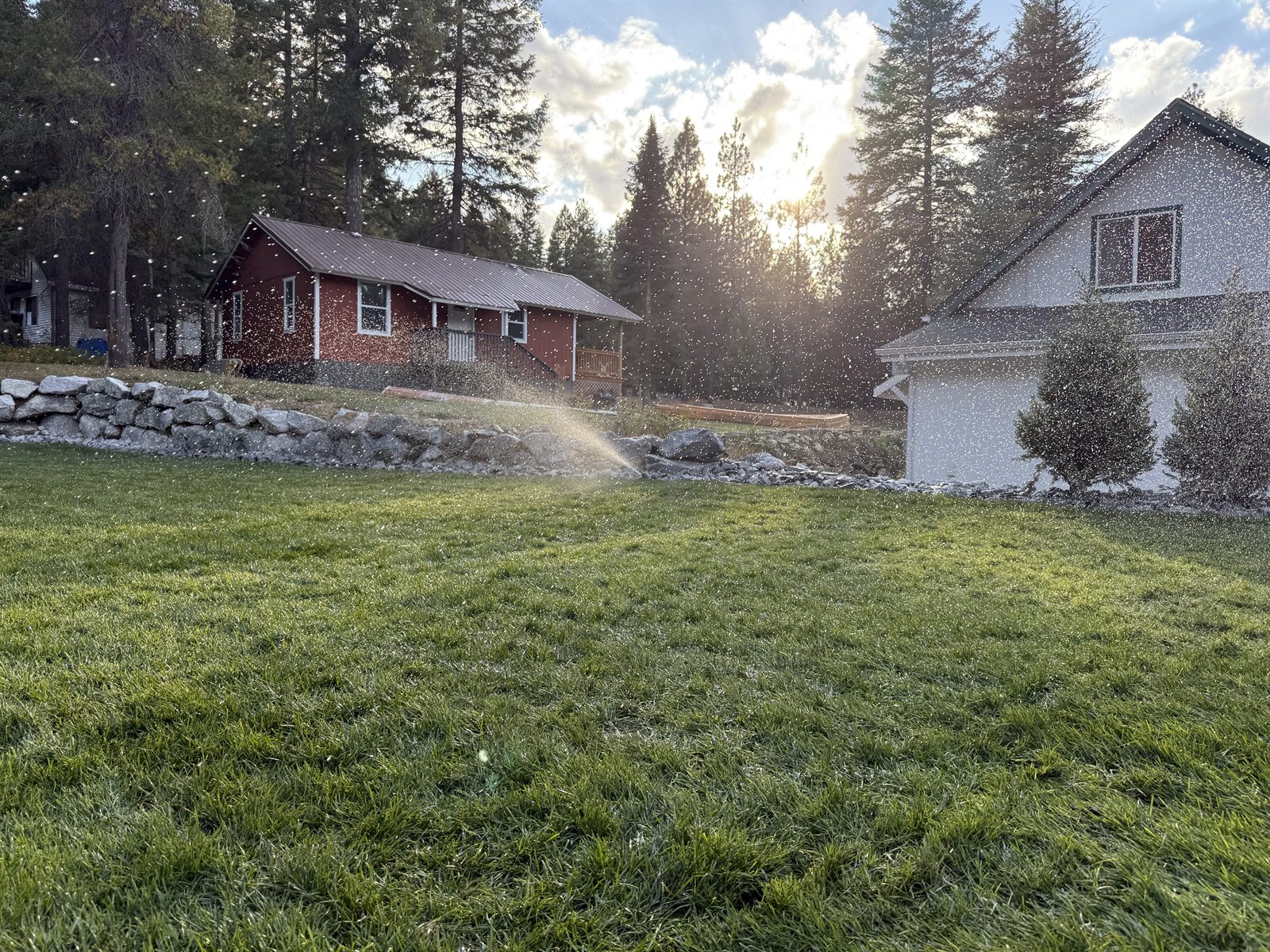 Sprinkler system running across a lawn